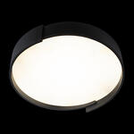 Превью фото №4  10200 Black Потолочный светильник LOFT IT Coin
