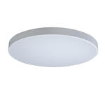 Превью фото №3  10002/48 White Потолочный светильник LOFT IT Axel
