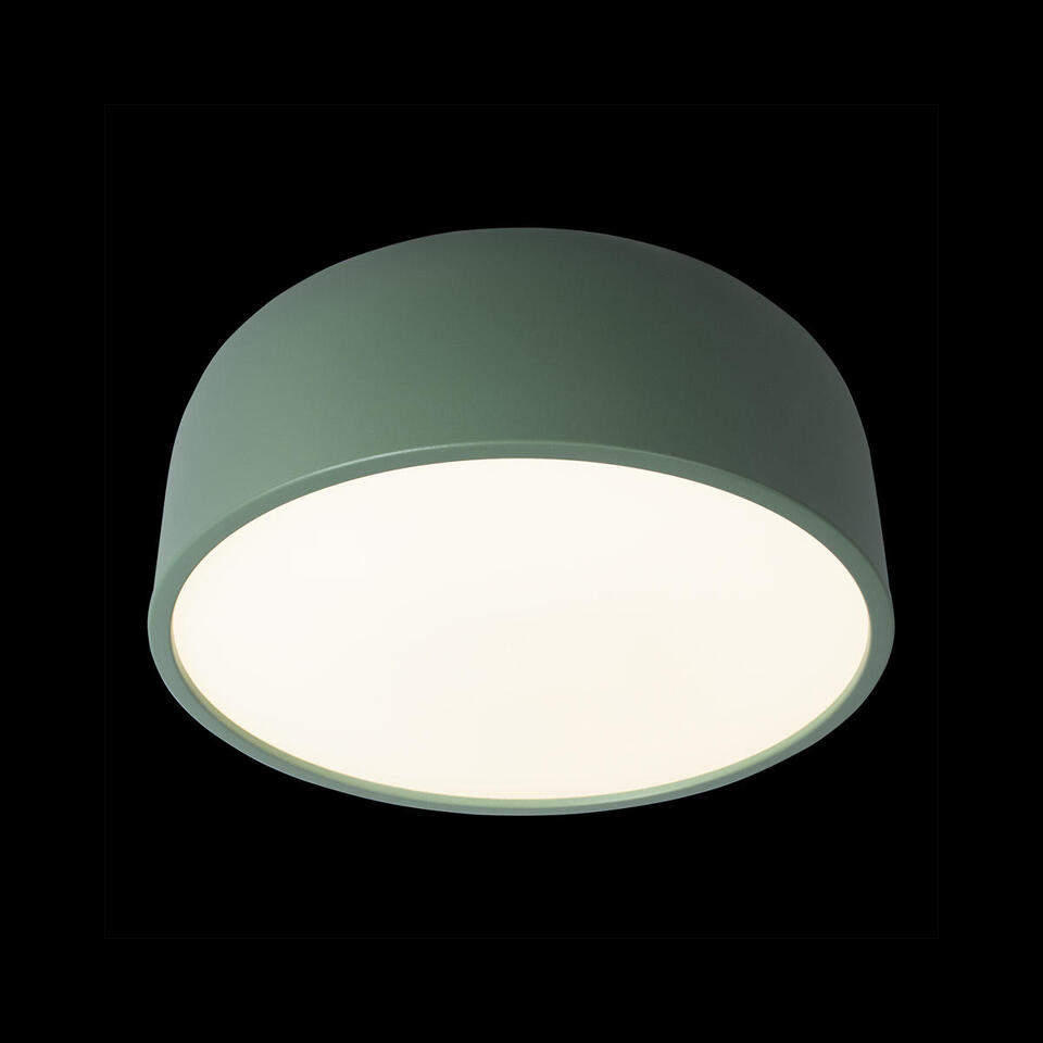 Фото №6  10201/350 Green Потолочный светильник LOFT IT Axel