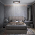Превью фото №7  10202 Grey Потолочный светильник LOFT IT Coin