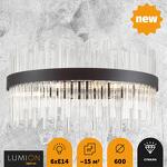 Превью фото №5  Люстра LUMION 5272/6 MODERNI LN26 209 черный Люстра E14 6*40W 220V MITSUKO