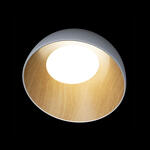 Превью фото №4  10197/350 White Потолочный светильник LOFT IT Egg