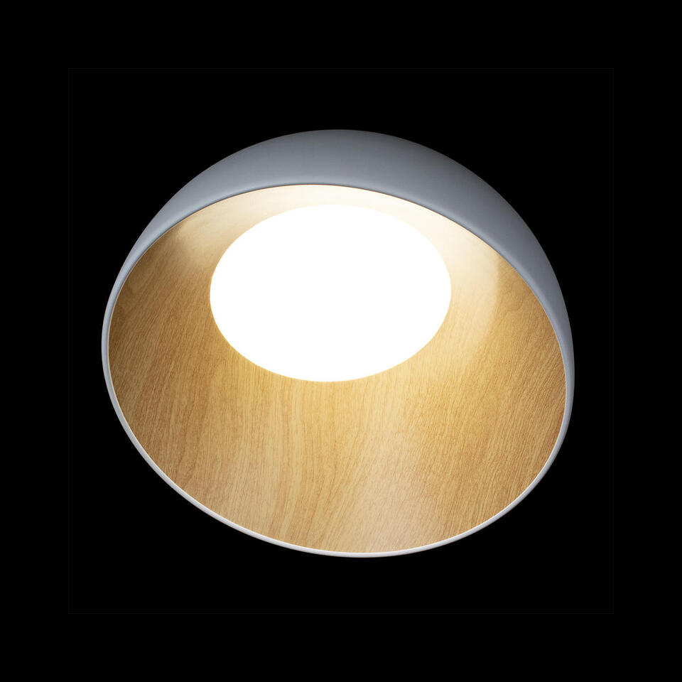 Фото №7  10197/350 White Потолочный светильник LOFT IT Egg