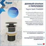 Превью фото №3  Teymi Донный клапан с переливом Solli для раковины, графит матовый T140203