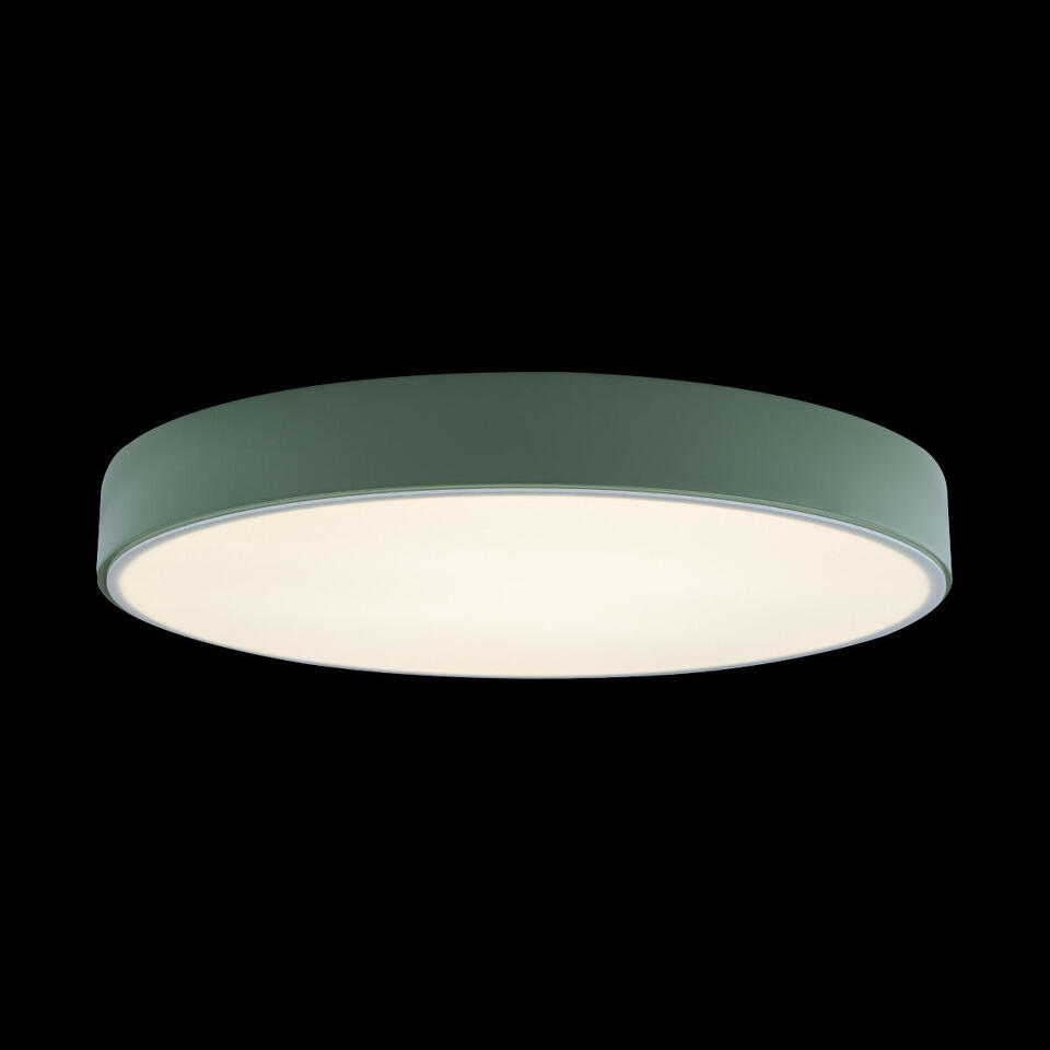 Фото №4  10002/24 Green Потолочный светильник LOFT IT Axel