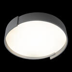 Превью фото №4  10200 Grey Потолочный светильник LOFT IT Coin