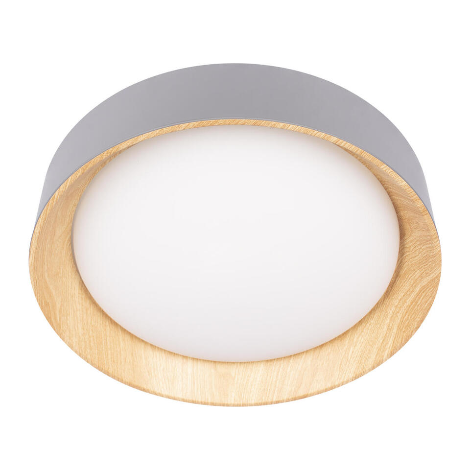 Фото №8  10202 Grey Потолочный светильник LOFT IT Coin