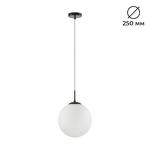 Превью фото №1  Подвесной светильник LUMION 6510/1 SUSPENTIONI LN26 409 чёрный Подвес E27 1*60W 220V SUMMER