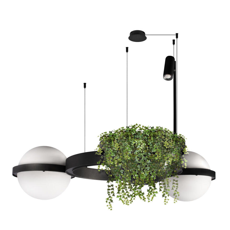 Фото №8  Подвесной светильник 10121/2 Подвесной светильник LOFT IT Jardin