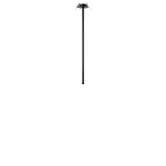 Превью фото №7  10359/600 Black Потолочный светильник LOFT IT Cane