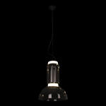 Превью фото №2  Подвесной светильник 10192/S Подвесной светильник LOFT IT Noctambule