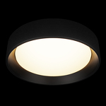 Превью фото №2  10202 BB Потолочный светильник LOFT IT Coin