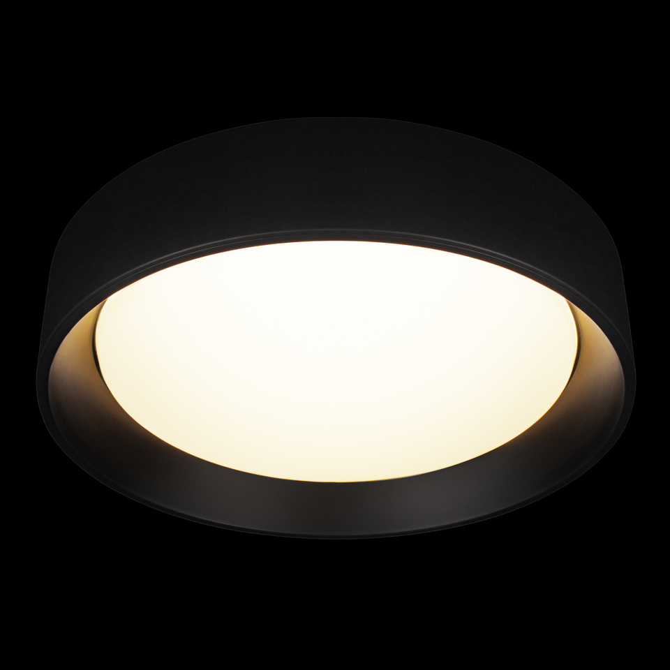 Фото №7  10202 BB Потолочный светильник LOFT IT Coin