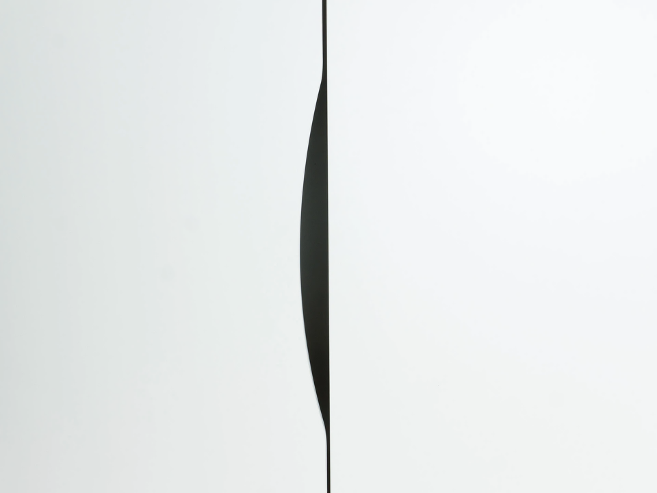 Фото №10  Шкаф OGOGOHOME Шкаф Двухдверный Like