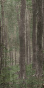 Фото ABK Керамогранит W&S D+ WOODS A 160X320