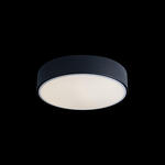 Превью фото №2  10002/12 Black Потолочный светильник LOFT IT Axel