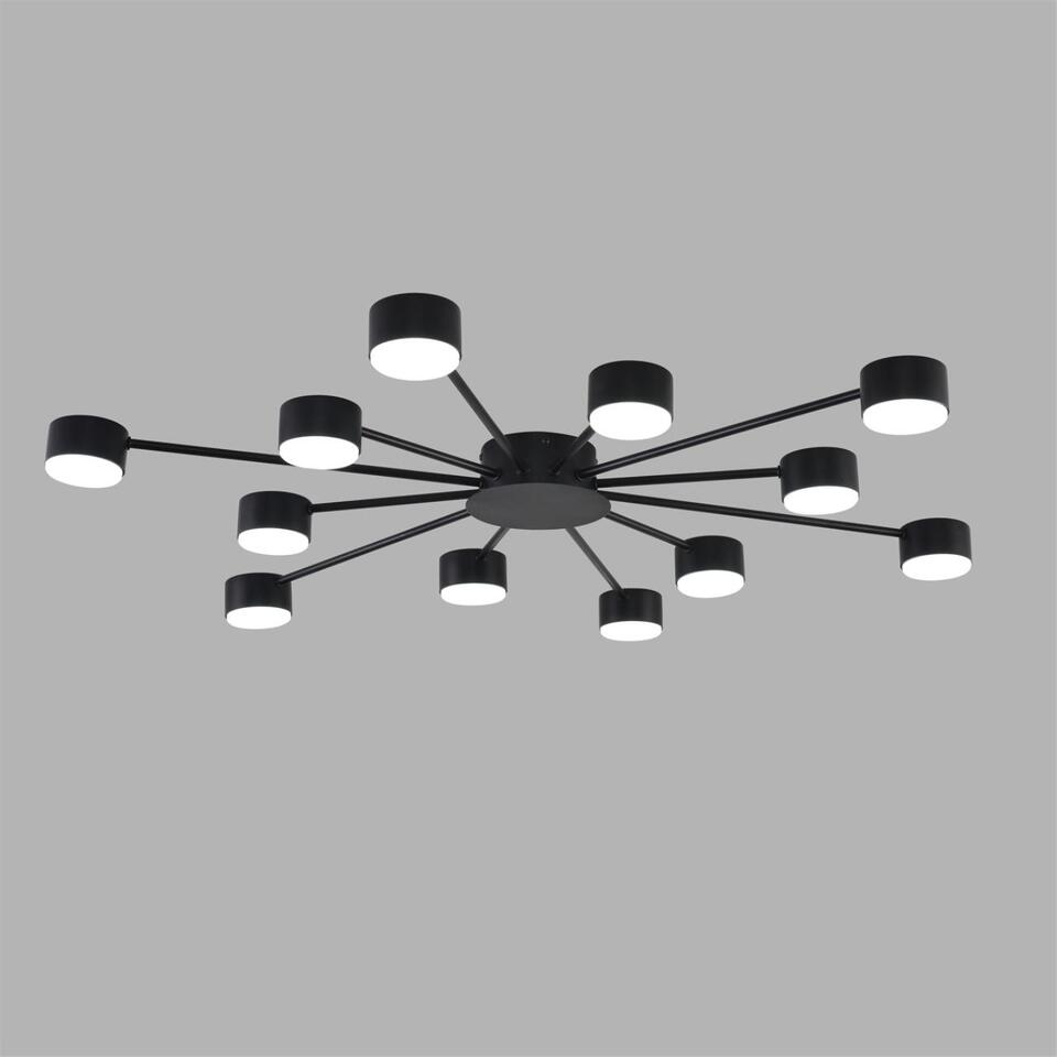 Фото №7  Люстра LUMION 8344/12C COMFI LN26 251 черный, металл Люстра GX53 LED 12*7W 220V TORINA
