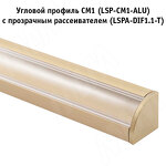 Превью фото №4  PULSE Заглушка торцевая для СМ1/CM2, золото матовое (LSPA-CAP-CM1/2-GL)