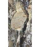 Превью фото №31  REX Керамогранит BIJOUX QUATRE SAISONS GLO 6MM R 60X120