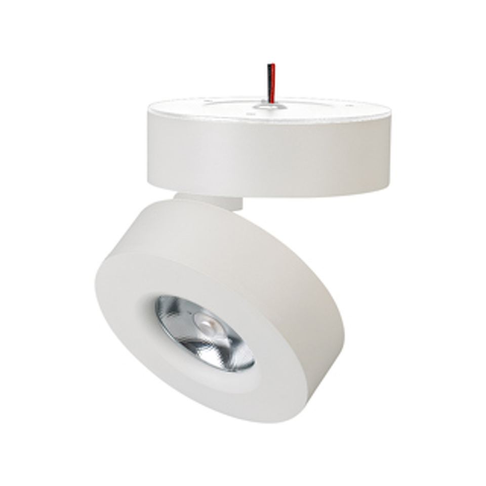 Фото №1  Arlight Светильник SP-MONA-SURFACE-R100-12W Warm3000 (WH, 24 deg) ( IP40 Металл, 3 года)