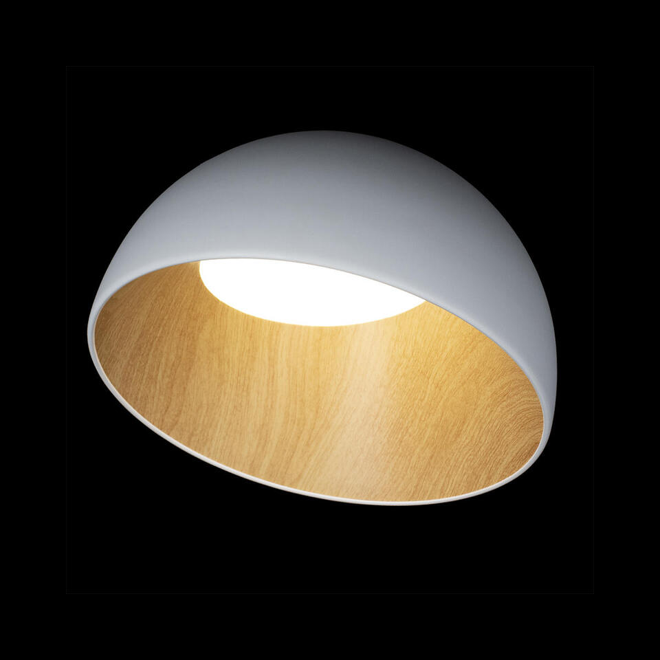 Фото №7  10197/350 White Потолочный светильник LOFT IT Egg