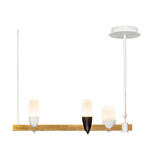 Превью фото №1  Подвесной светильник 1028-3WH Светильник на штанге LOFT IT Whisper