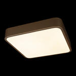 Превью фото №2  10228/C Потолочный светильник LOFT IT Flims