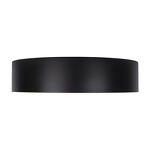 Превью фото №5  10202 Black Потолочный светильник LOFT IT Coin