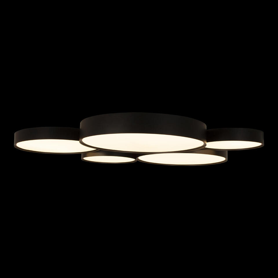 Фото №8  10218 Black Потолочный светильник LOFT IT Drum