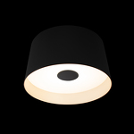 Превью фото №2  10360S Black Потолочный светильник LOFT IT Duo