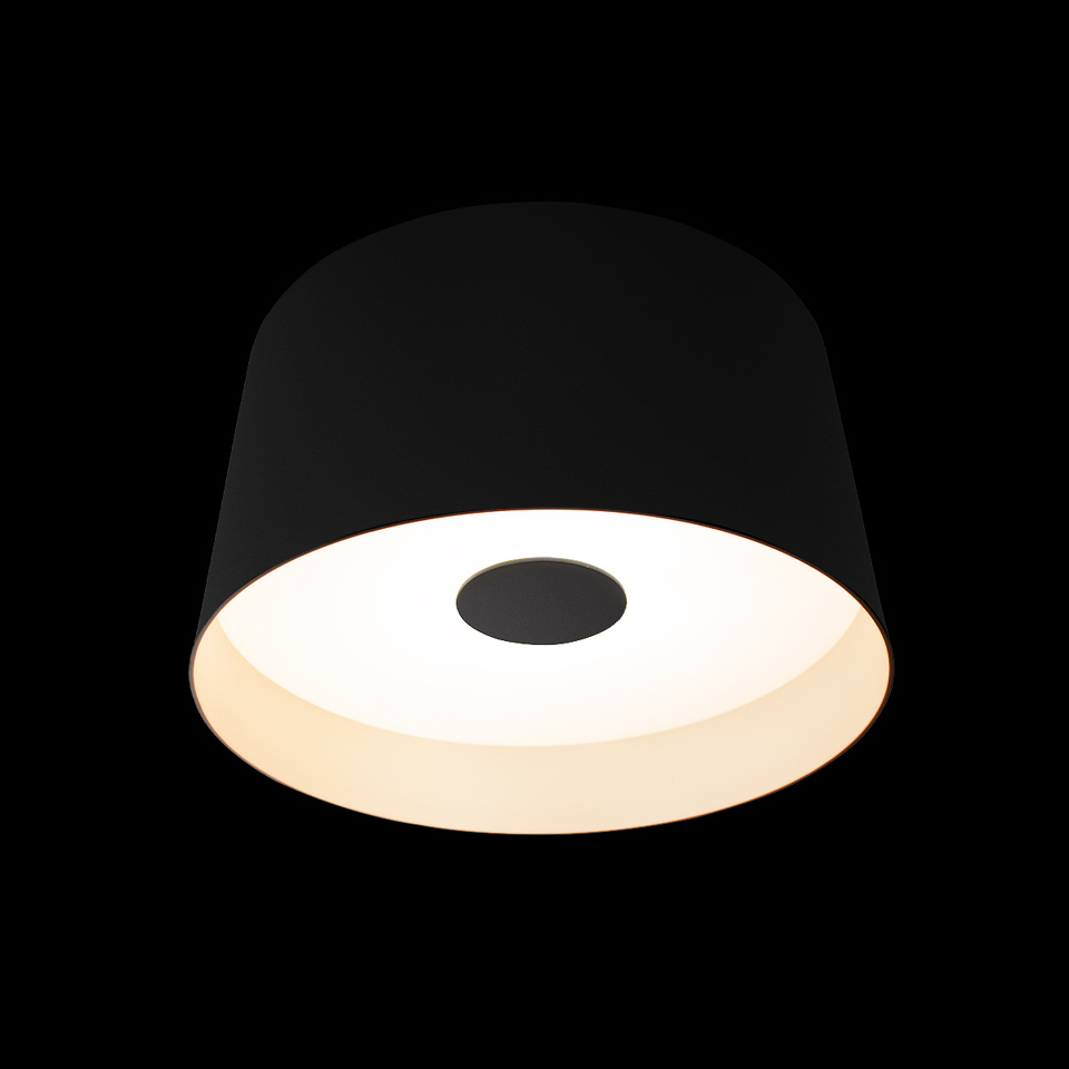 Фото №5  10360S Black Потолочный светильник LOFT IT Duo