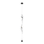 Превью фото №10  Подвесной светильник 10346/2 Black Подвесной светильник LOFT IT Parentesi