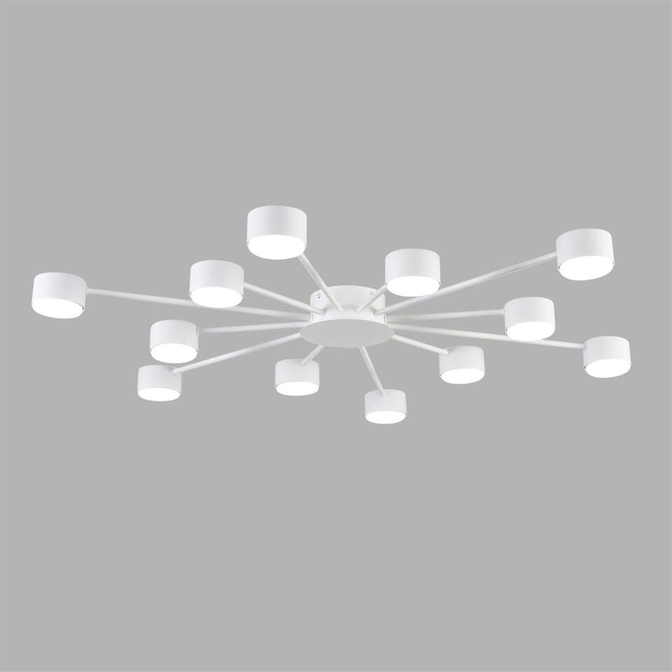 Фото №6  Люстра LUMION 8343/12C COMFI LN26 252 белый, металл Люстра GX53 LED 12*7W 220V TORINA
