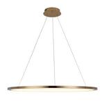 Превью фото №7  Подвесной светильник 10014XL Подвесной светильник LOFT IT Ring