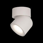 Превью фото №2  10180 White 3000K Накладной светильник LOFT IT Tictac