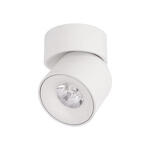 Превью фото №8  10180 White 4000K Накладной светильник LOFT IT Tictac
