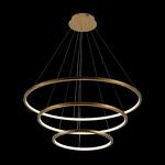 Превью фото №2  Подвесной светильник 10015/3 Подвесной светильник LOFT IT Ring