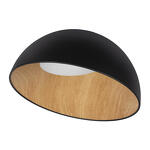 Превью фото №1  10197/500 Black Потолочный светильник LOFT IT Egg