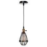 Превью фото №2  Подвесной светильник LOFT2009/1 Подвесной светильник LOFT IT Holder