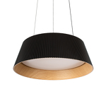 Превью фото №5  Подвесной светильник 10224P Black Подвесной светильник LOFT IT Evans