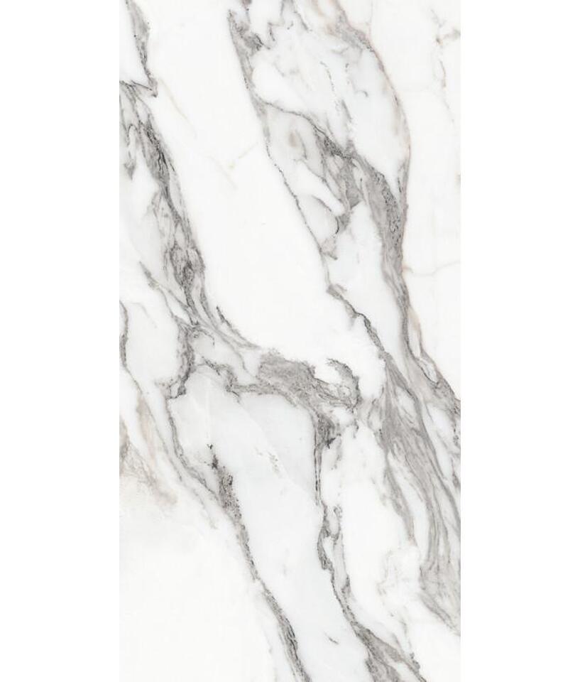 Фото №26  REX Керамогранит LES ORIGINES DE REX ARGENT GLOSSY 60X120
