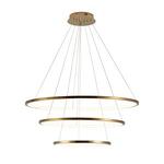 Превью фото №6  Подвесной светильник 10015/3 Подвесной светильник LOFT IT Ring