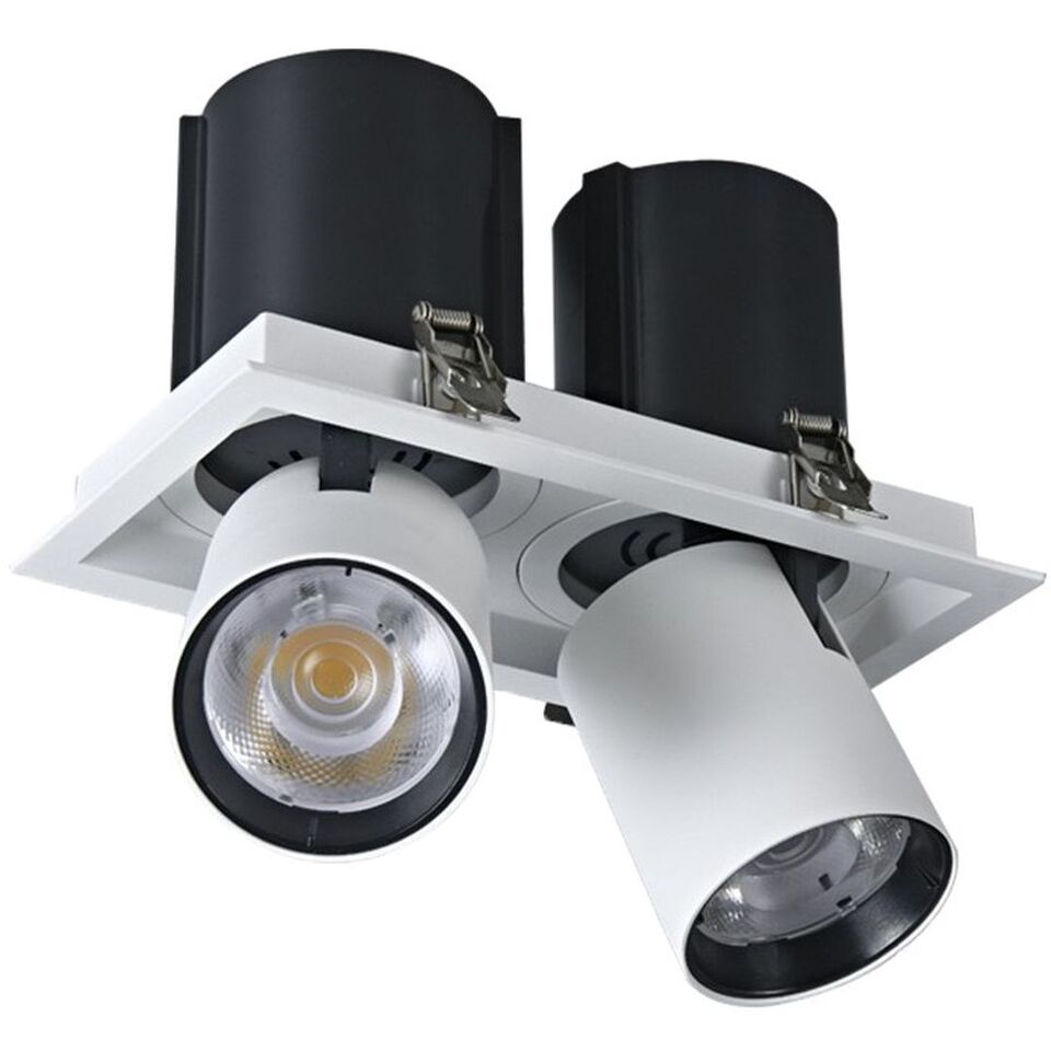 Фото №1  WTD.O31.067.30.20 WERTMARK TECHNICAL DORSUM светильник точечный встраиваемый, LED, 2x10W, 3000K
