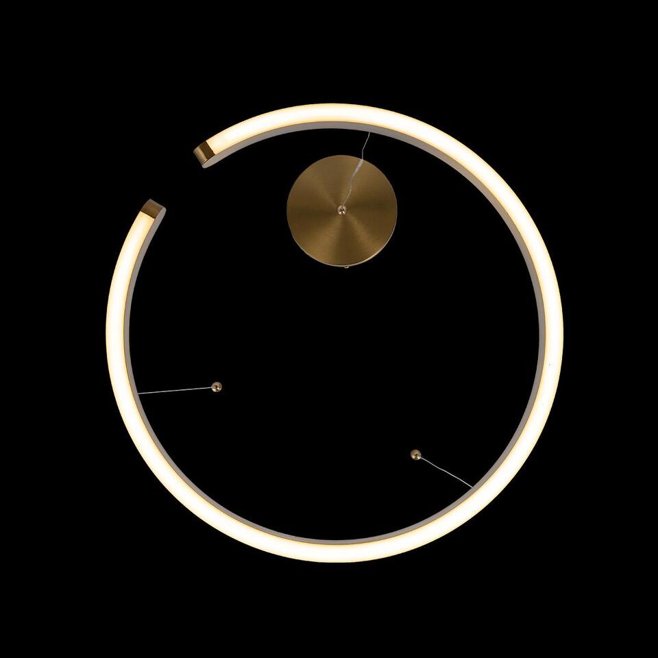 Фото №5  Подвесной светильник 10013L Подвесной светильник LOFT IT Ring