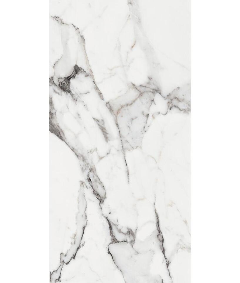 Фото №26  REX Керамогранит LES ORIGINES DE REX ARGENT GLOSSY 60X120