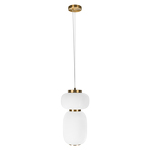Превью фото №1  Подвесной светильник 10422/B Подвесной светильник LOFT IT Duff