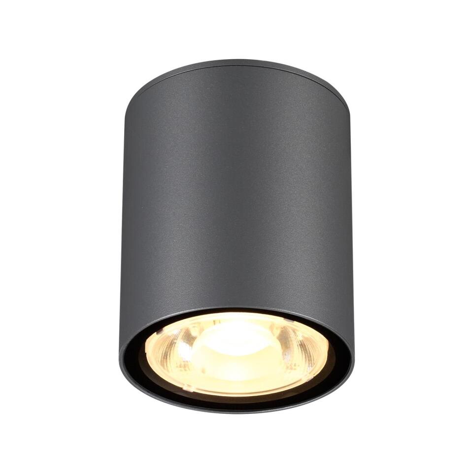 Фото №3  NOVOTECH 358011 STREET NT19 700 темно-серый Ландшафтный светильник IP65 LED 3000К 6W 220V TUMBLER