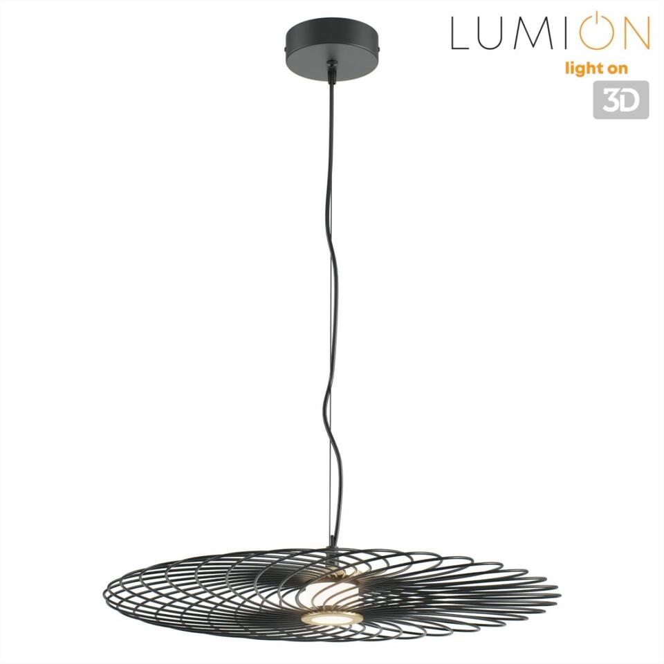 Фото №7  Подвесной светильник LUMION 8379/10L LEDIO LN26 299 черный, металл/акрил Подвес LED 10W 3000K 220V CAMOMILE