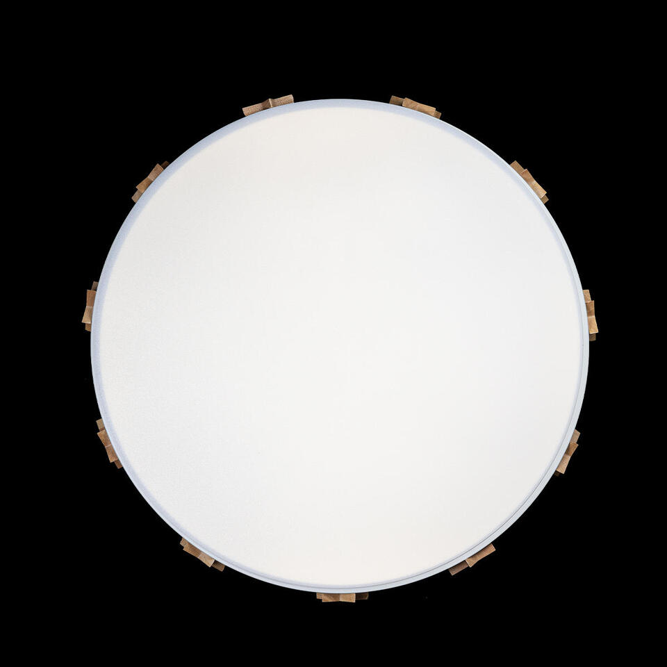 Фото №4  10006/36 White Потолочный светильник LOFT IT Axel