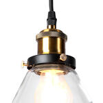 Превью фото №3  Подвесной светильник LOFT1123 Подвесной светильник LOFT IT Factory filament